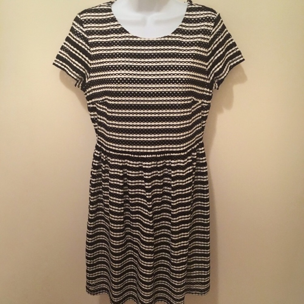 NWT Ann Taylor Striped Sheath Dress 8P